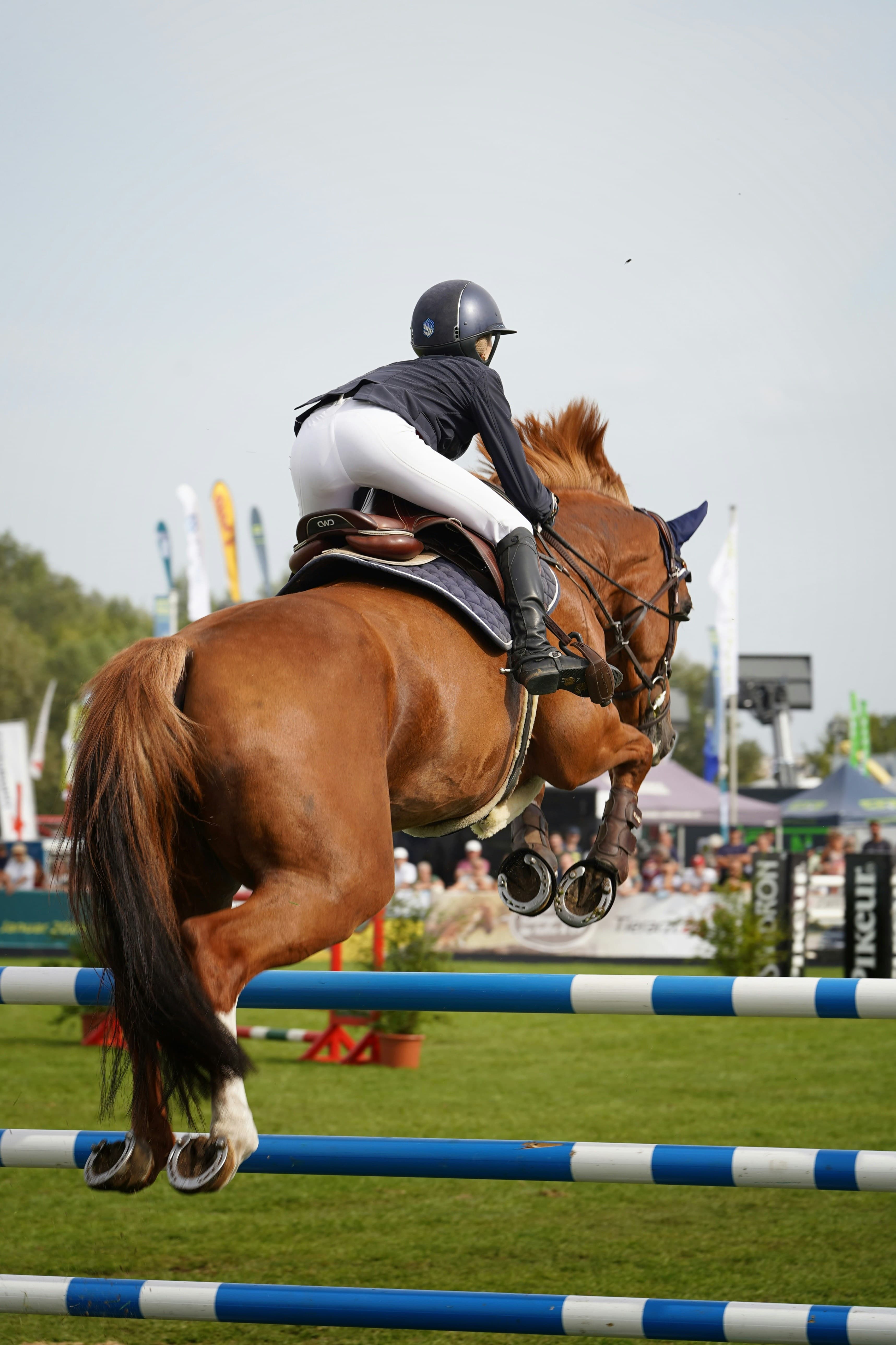 Jumping de Marseille